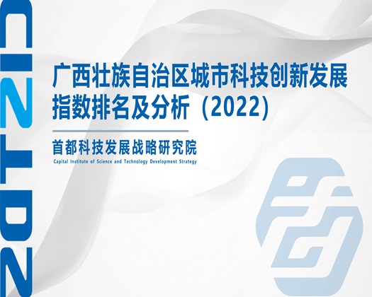 老头操搔逼【成果发布】广西壮族自治区城市科技创新发展指数排名及分析（2022）